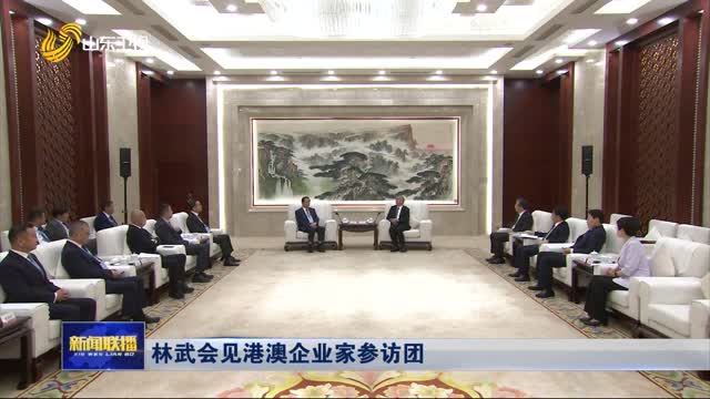 林武会见港澳企业家参访团